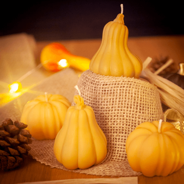 Pumkin Squash - Bougie d'automne à la cire végétale