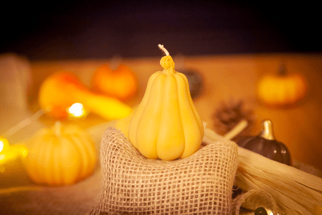Pumkin Squash - Bougie d'automne à la cire végétale