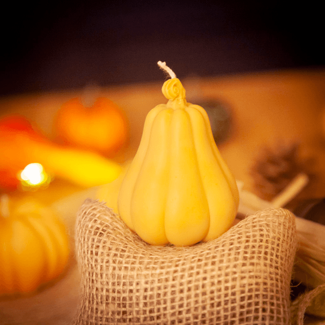 Pumkin Squash - Bougie d&#039;automne à la cire végétale